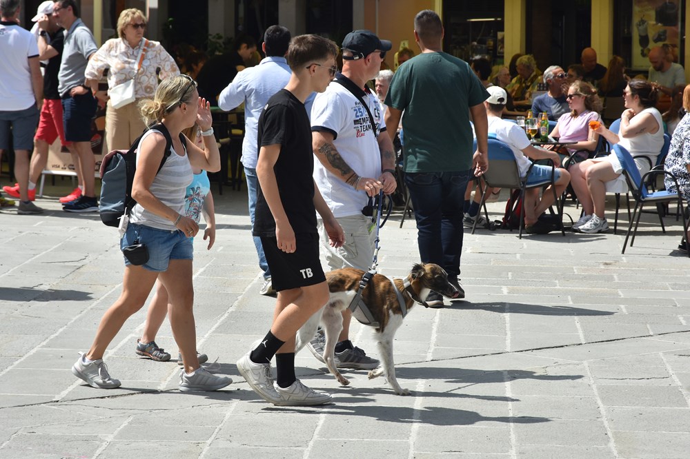 Snimio Duško MARUŠIĆ ČIČI